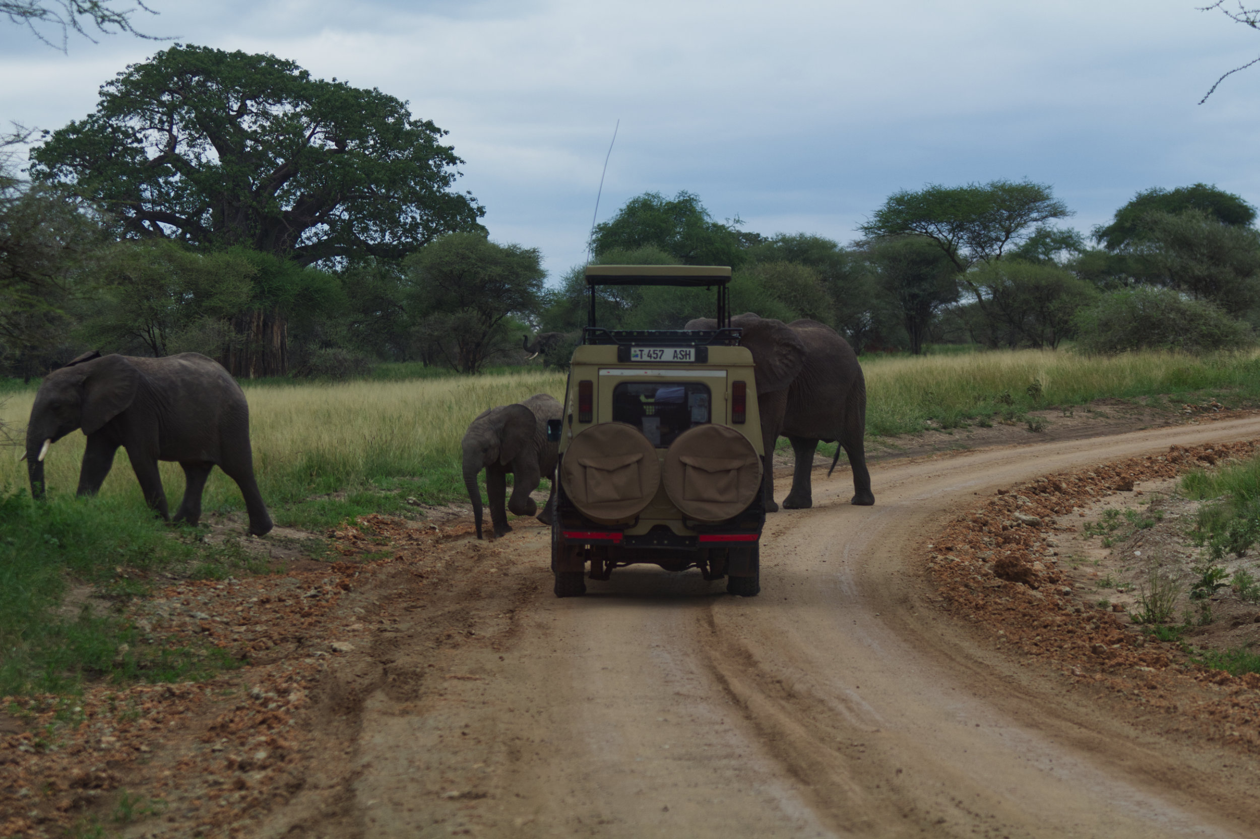 Leyu Tours Expedition