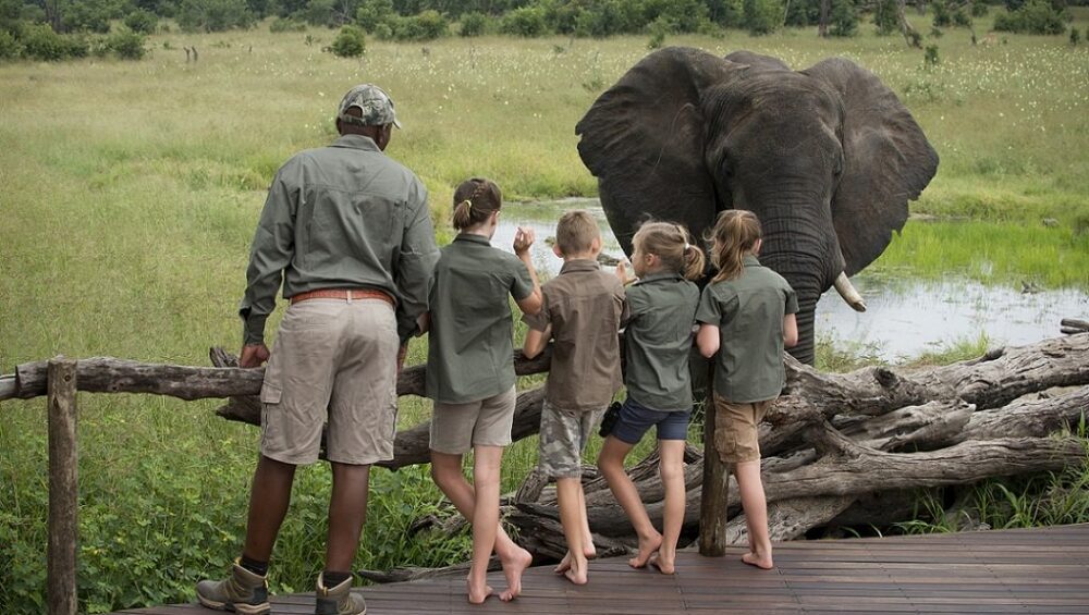 Why You Should Visit Tarangire National Park